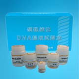 磁珠纯化DNA提取纯化试剂盒