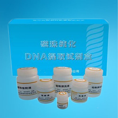 AJFT-E204磁珠纯化DNA提取纯化试剂盒