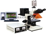 AJYG-III型荧光显微镜