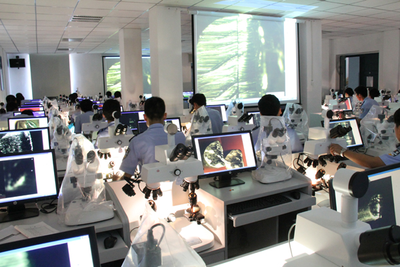 体视显微镜互动教室  询价
